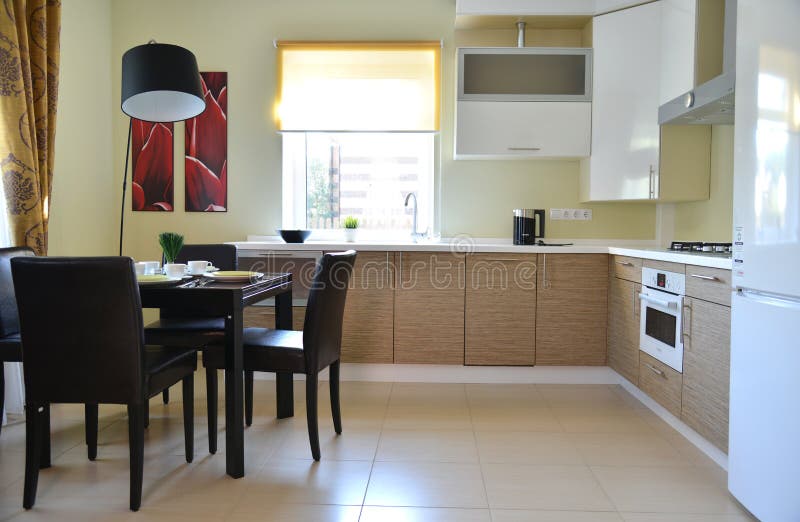 Interior magnífico de la cocina de la casa con los dispositivos imágenes de archivo libres de regalías Interior magnífico de la cocina de la casa con los dispositivos imágenes de archivo libres de regalías