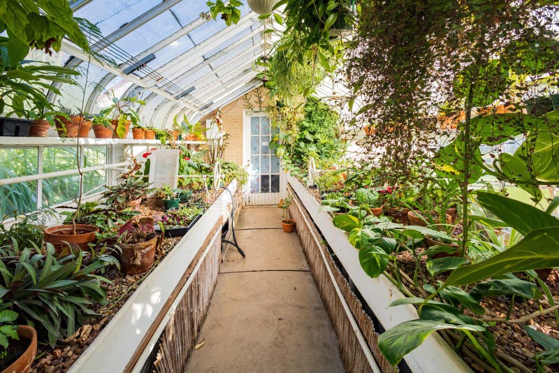 Interior View of the Conservatory at Woodward Park Editorial Stock