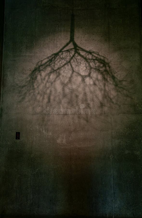 Interior view of The de Young Museum stock image