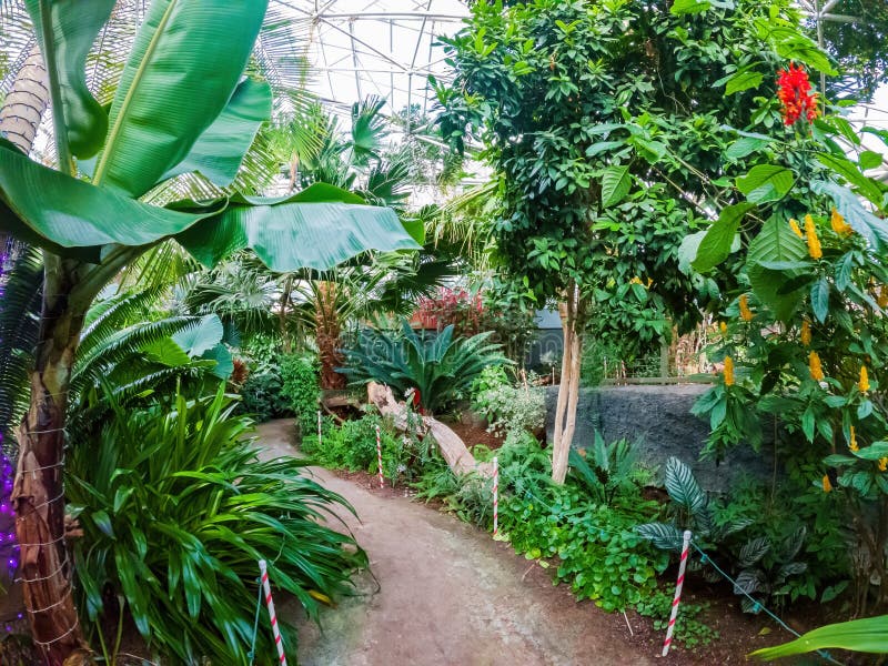 Interior View of the Greenhouse of Amarillo Botanical Gardens Stock