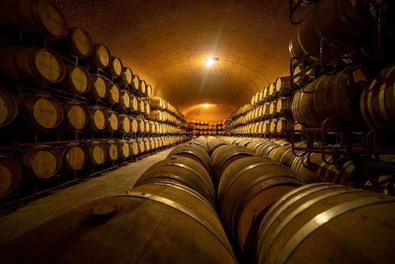 Interior of Warehouse with Wine Barrels Stock Image Image of