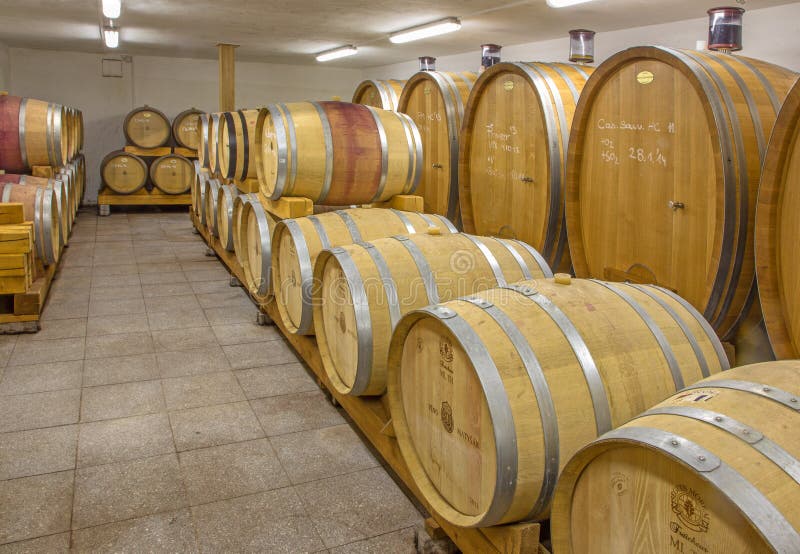 Interior of Wine Cellar of Great Slovak Producer. Casks Editorial Stock