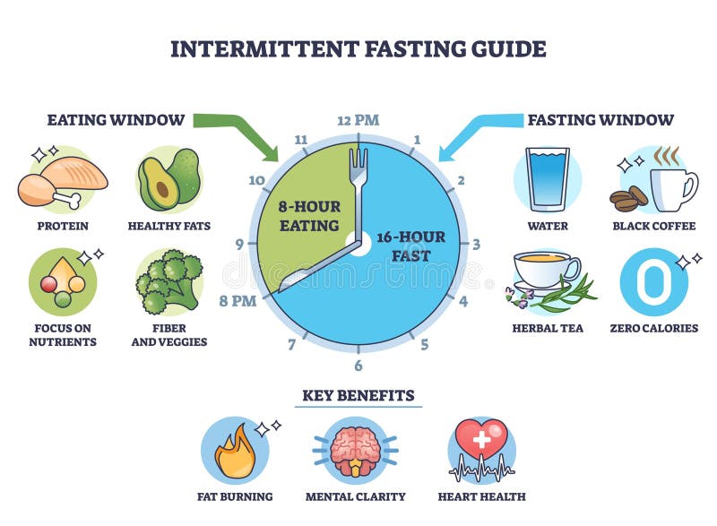 16/8 intermittent fasting schedule clock with eating window