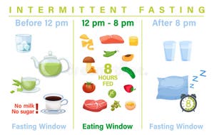 Intermittent Fasting Poster Personal Diet Plan Concept Stock Vector 