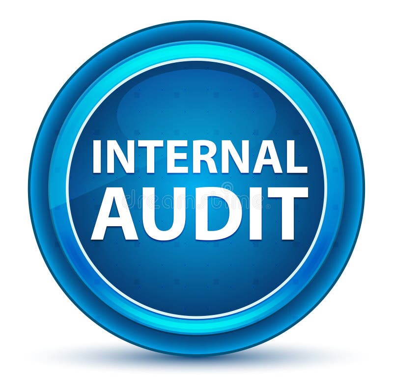 Internal Audit Eyeball Blue Round Button royalty free illustration