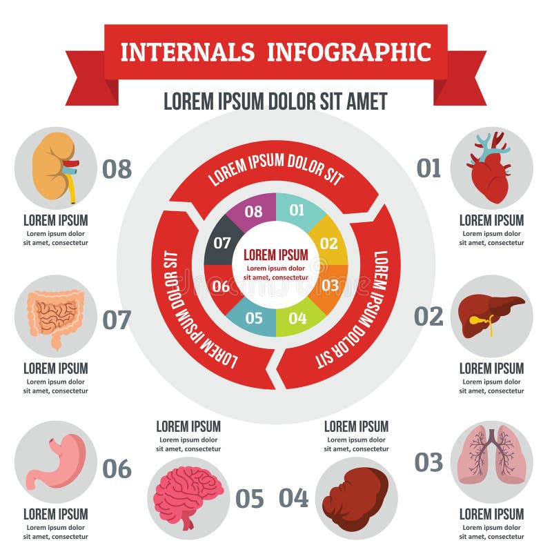 Internals infographic concept, flat style