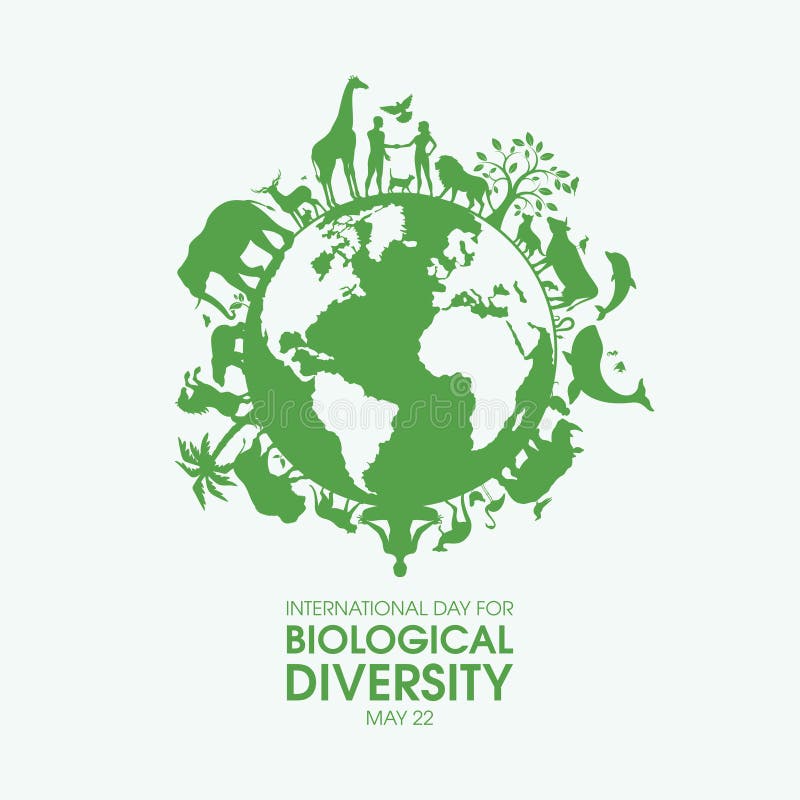 International Day for Biological Diversity Vector Stock Vector ...