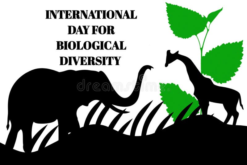 International Day for Biological Diversity Stock Illustration ...
