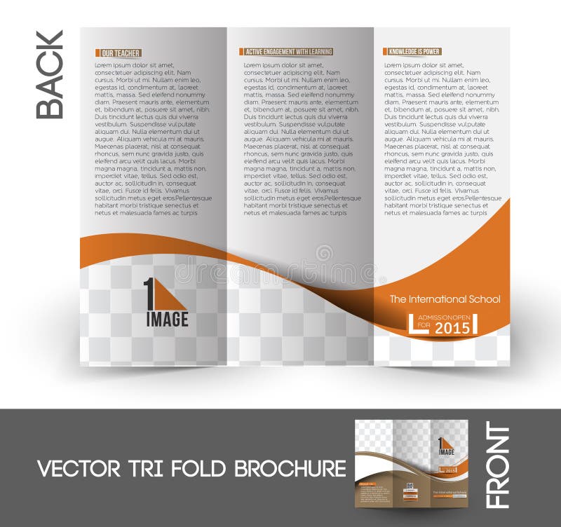 The International School Tri-Fold Brochure stock illustration