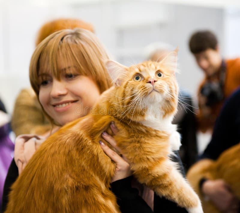 Internationale Ausstellung der Katzen stockfoto Internationale Ausstellung der Katzen stockfoto