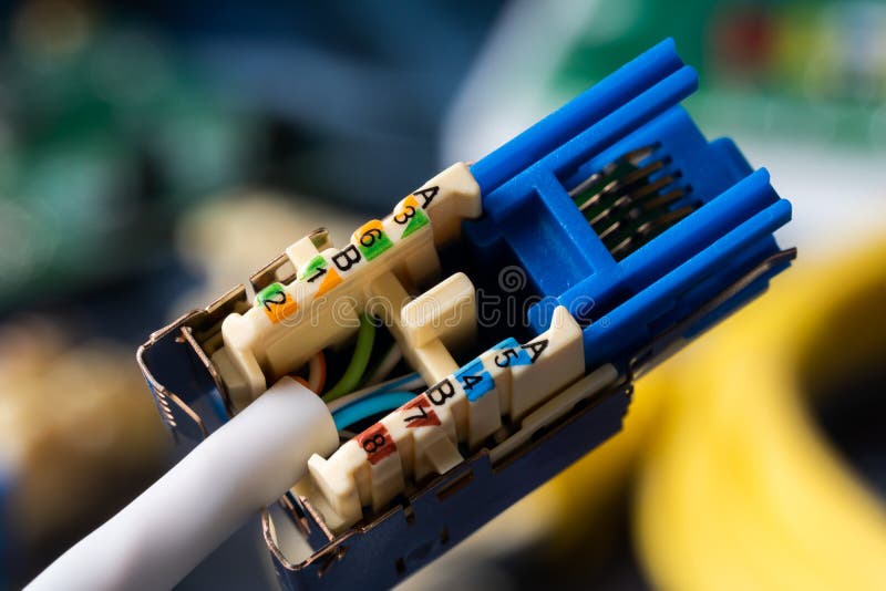 Cable Crimp Cat 6 Connector. Stock Photo Image of setup