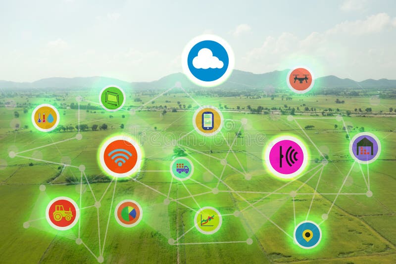 Internet of things industrial agriculture,smart farming concepts,the various farm technology in the futuristic icom on the field b royalty free stock images