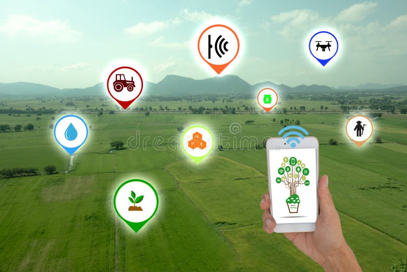 Internet of thingsagriculture concept,smart farming, smart agriculture. The farmer using application in phone to control and moni royalty free stock photography