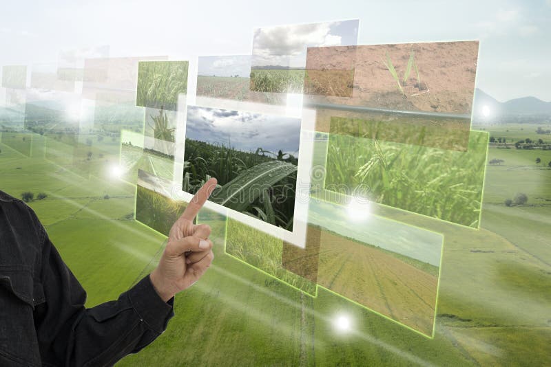 Internet of thingsagriculture concept,smart farming,industrial agriculture. Farmer point hand to use augmented reality technology stock image