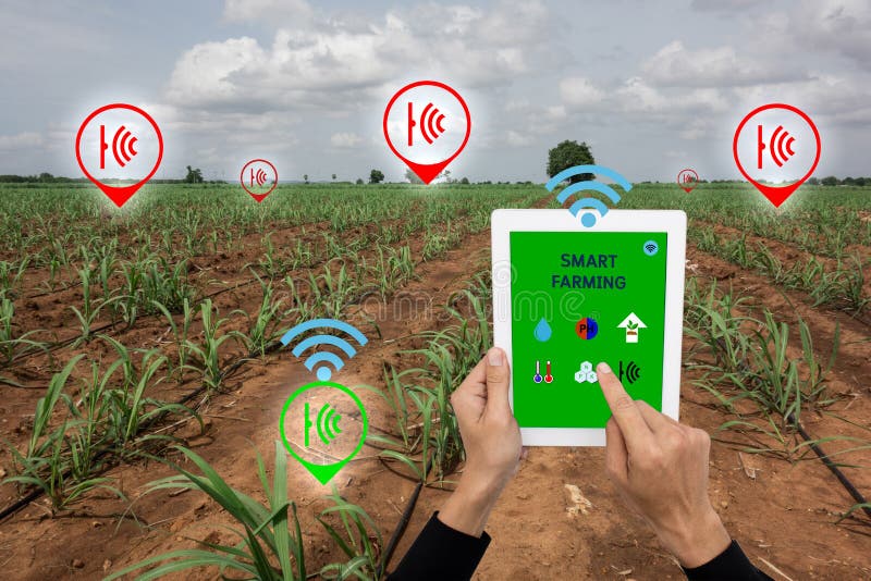 Internet of thingsagriculture concept,smart farming, smart agr stock photography
