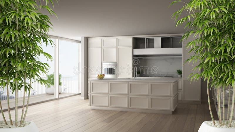 Interno con la pianta di bambù conservata in vaso, concetto naturale di interior design, cucina bianca classica di zen in apparta illustrazione di stock Interno con la pianta di bambù conservata in vaso, concetto naturale di interior design, cucina bianca classica di zen in apparta illustrazione di stock