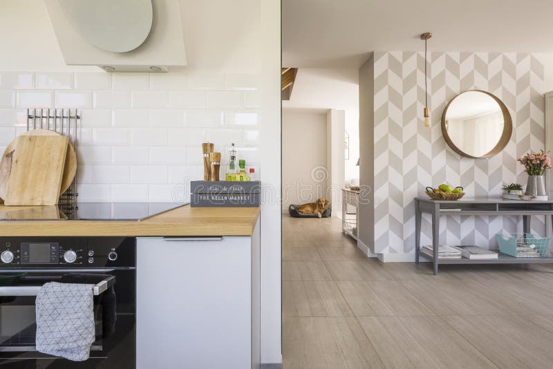 Interno della cucina dello spazio aperto con il forno e le spezie moderni sul conteggio fotografie stock libere da diritti Interno della cucina dello spazio aperto con il forno e le spezie moderni sul conteggio fotografie stock libere da diritti