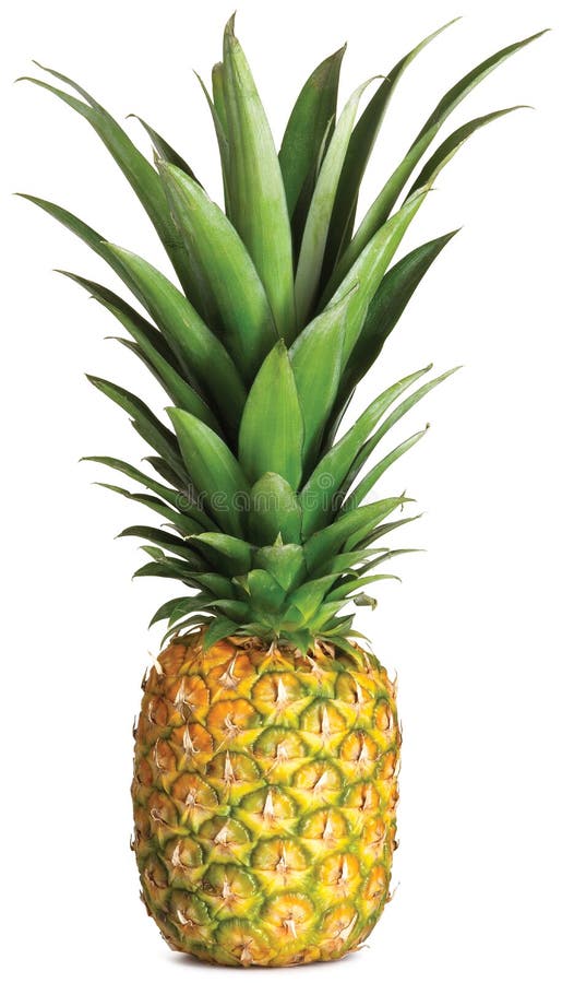 Intero ananas fotografia stock libera da diritti