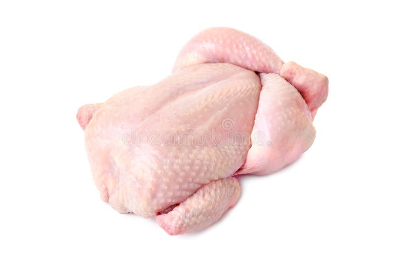Intero pollo crudo fresco su fondo bianco