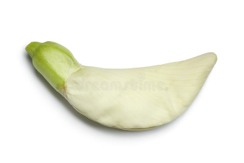 Intero singolo fiore commestibile di Dok Kae immagine stock libera da diritti Intero singolo fiore commestibile di Dok Kae immagine stock libera da diritti