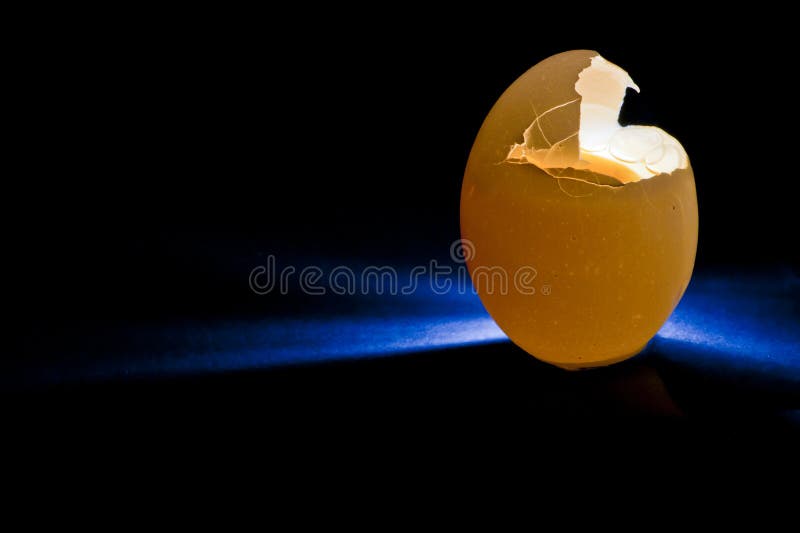 Illuminating an egg by back lighting it. Illuminating an egg by back lighting it