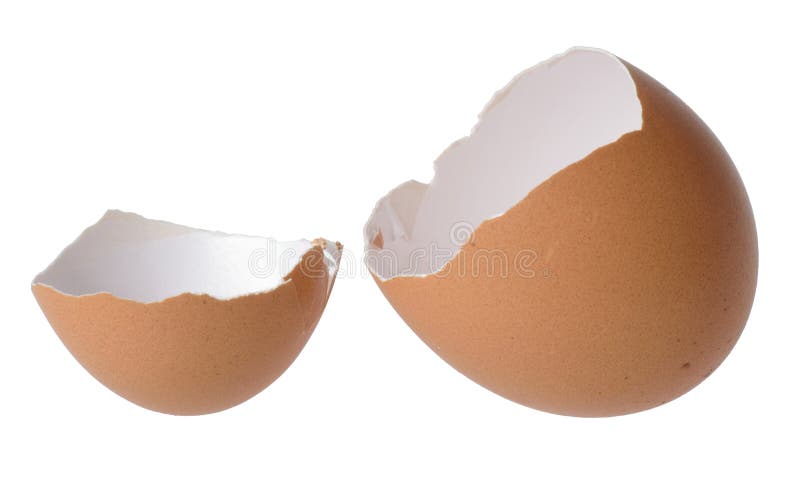 Egg shell on white background. Egg shell on white background