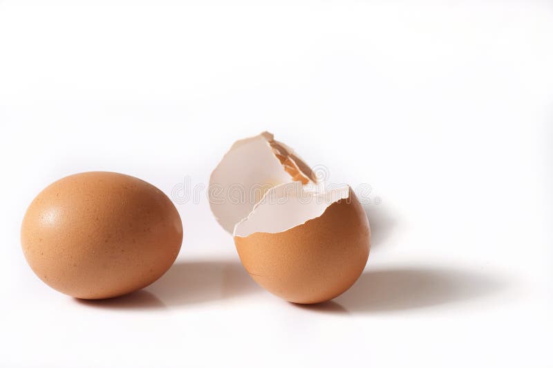 Egg shell isolated on the white background. Egg shell isolated on the white background