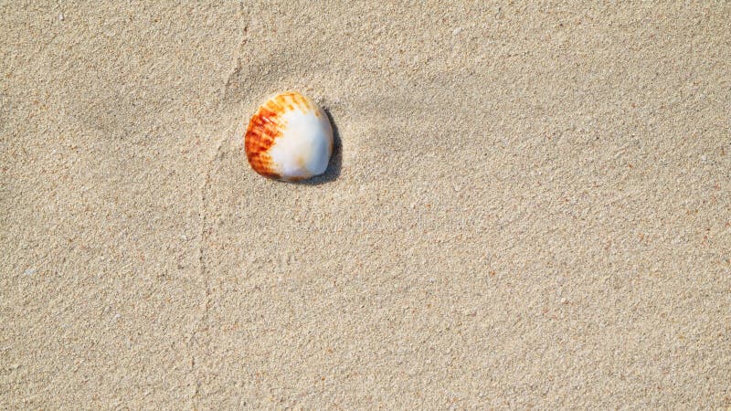 Interpréteurs de commandes interactifs de mer sur le sable Fond de plage d'été Vue supérieure images stock Interpréteurs de commandes interactifs de mer sur le sable Fond de plage d'été Vue supérieure images stock