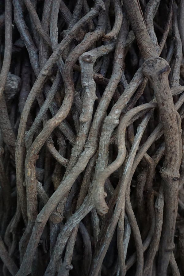 Weaving From Willow Branches. Fence From Tree Branches. Stock Photo Image of detail, mesh