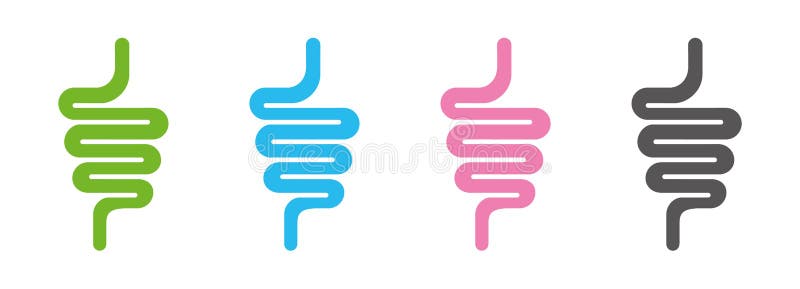 Intestinal tract set icon isolated on white background vector illustration