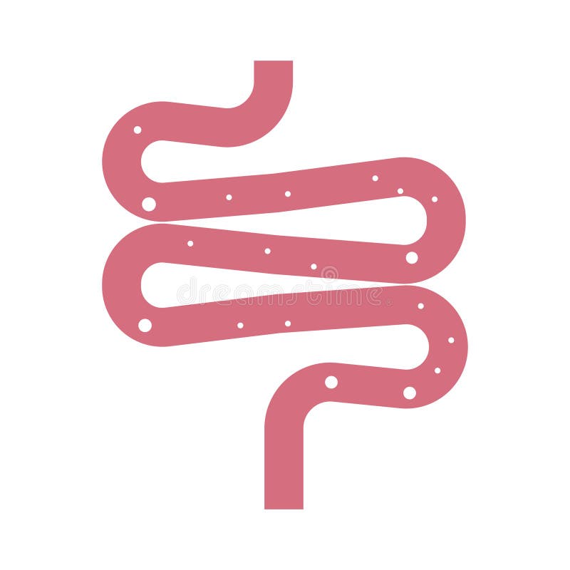 Intestine simple icon royalty free illustration