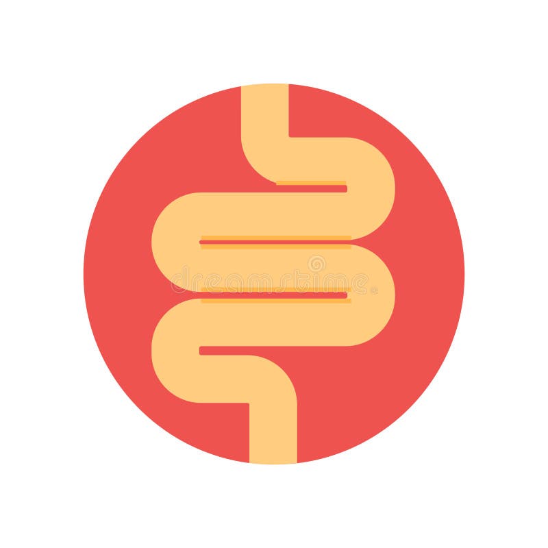 Intestines icon vector sign and symbol isolated on white background, Intestines logo concept stock illustration Intestines icon vector sign and symbol isolated on white background, Intestines logo concept stock illustration