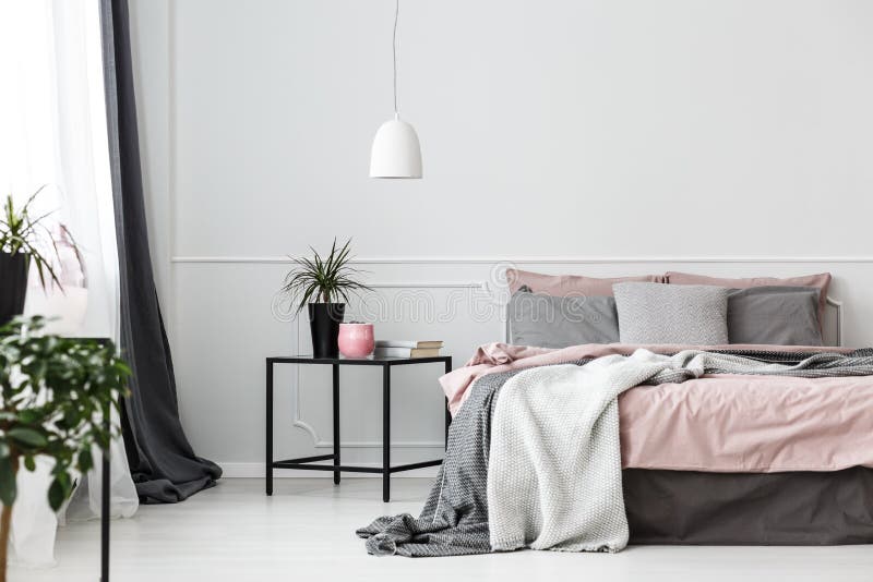 Grey bedsheets on bed in pink bedroom interior with plant on the table against white wall. Grey bedsheets on bed in pink bedroom interior with plant on the table against white wall