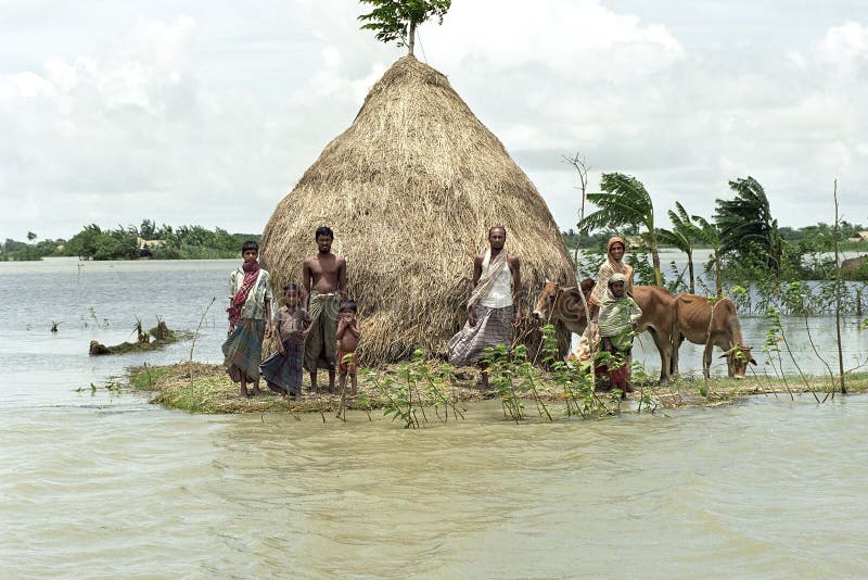 Bangladesh, village Charburhan on the island of Charkajal, Bay, Gulf of Bengal: No country in the world is so vulnerable to climate change, flood plains, flooded fields than Bangladesh. These people have problems of flooding and sometimes they have to wait weeks on this mound, islet, waiting with their cattle that the water will drop. Because of global warming the country is becoming more and more flooded by the waters of the rivers, the ascent of the sea level, and the heavy rainfall during the monsoon. It are the poorest people who are most affected by these natural disasters. Bangladesh, village Charburhan on the island of Charkajal, Bay, Gulf of Bengal: No country in the world is so vulnerable to climate change, flood plains, flooded fields than Bangladesh. These people have problems of flooding and sometimes they have to wait weeks on this mound, islet, waiting with their cattle that the water will drop. Because of global warming the country is becoming more and more flooded by the waters of the rivers, the ascent of the sea level, and the heavy rainfall during the monsoon. It are the poorest people who are most affected by these natural disasters.