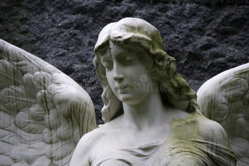 Angel Bust Female