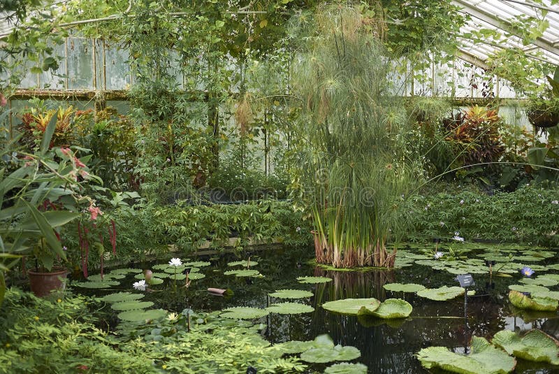 Invernadero del jardín de Kew fotografía de archivo Invernadero del jardín de Kew fotografía de archivo