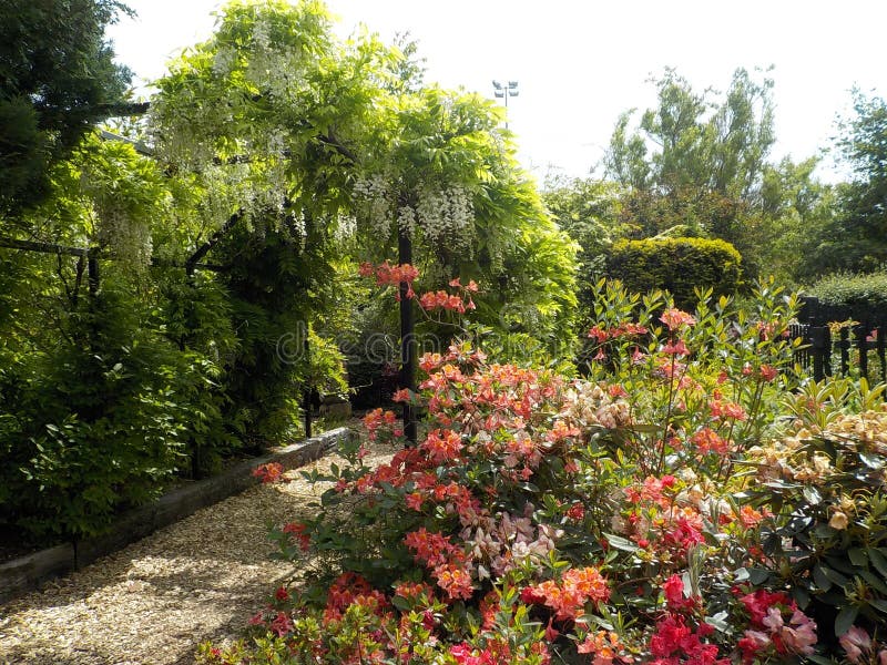 Inverness Botanic Gardens, Scotland Stock Image Image of glamis