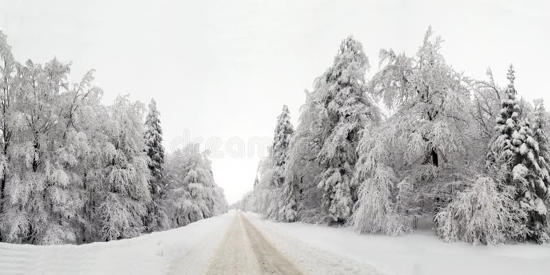 Inverno fotos de stock royalty free Inverno fotos de stock royalty free