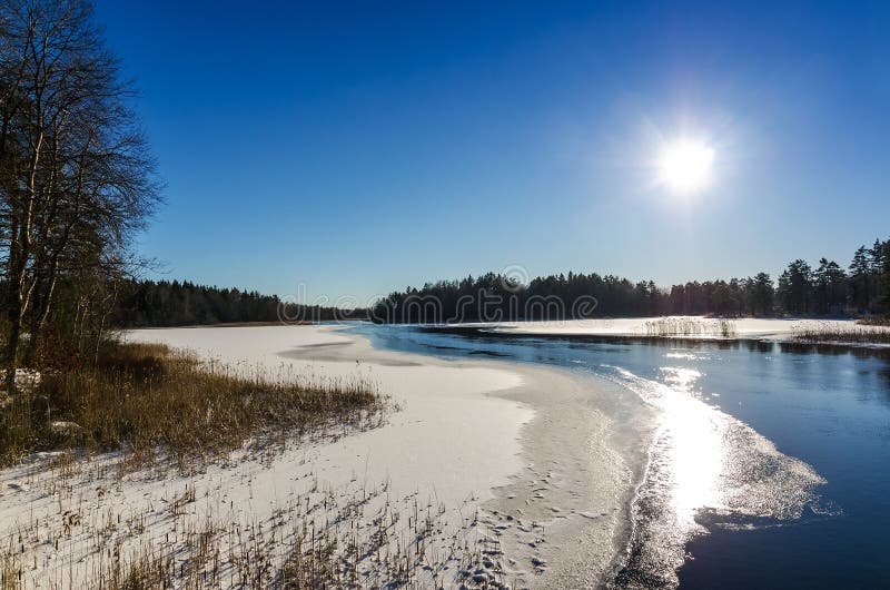 Inverno branco no lago sueco imagem de stock royalty free