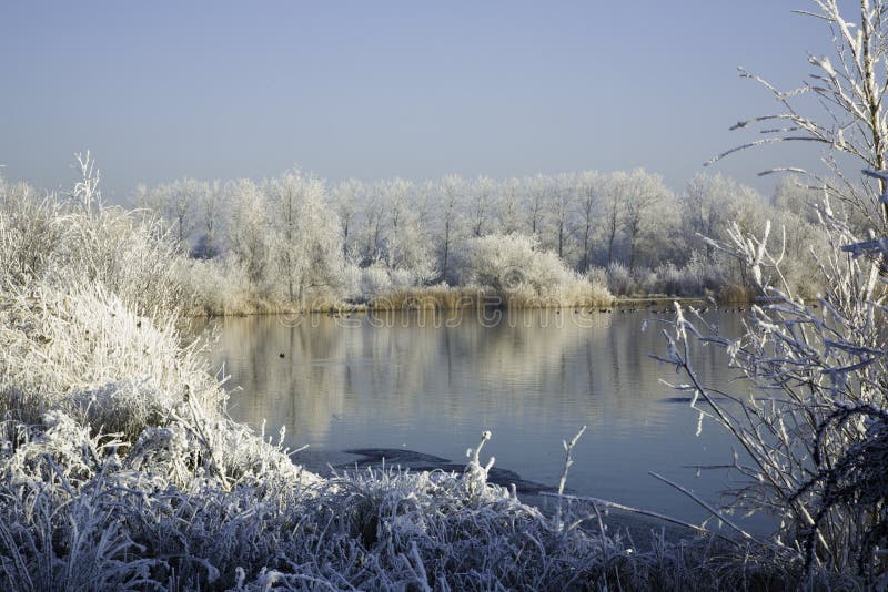 Paisagem de inverno imagem de stock royalty free