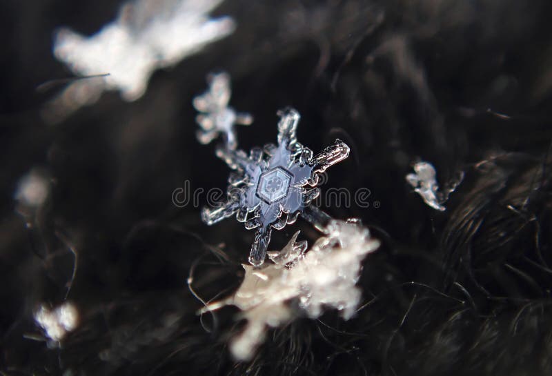 Inverno Fiocchi di neve - bello ghiaccio del pizzo fotografie stock Inverno Fiocchi di neve - bello ghiaccio del pizzo fotografie stock
