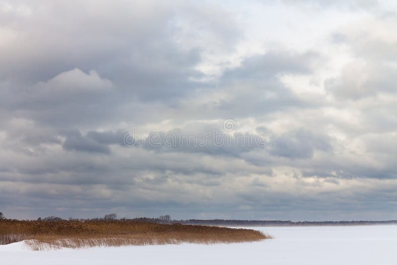 Inverno su una laguna costiera in Dierhagen, Germania fotografie stock libere da diritti Inverno su una laguna costiera in Dierhagen, Germania fotografie stock libere da diritti