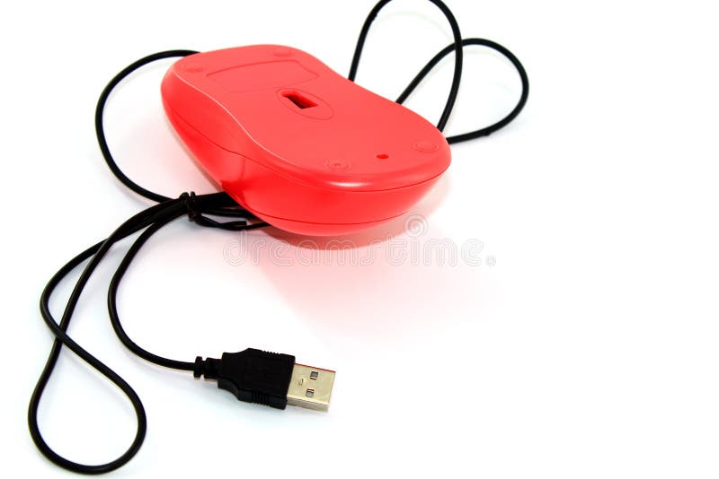 Inverted Mouse for Computer on White Background Stock Image Image of