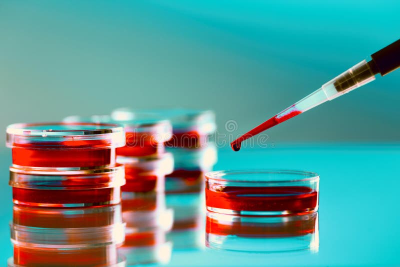 Investigación médica científica imágenes de archivo libres de regalías Investigación médica científica imágenes de archivo libres de regalías