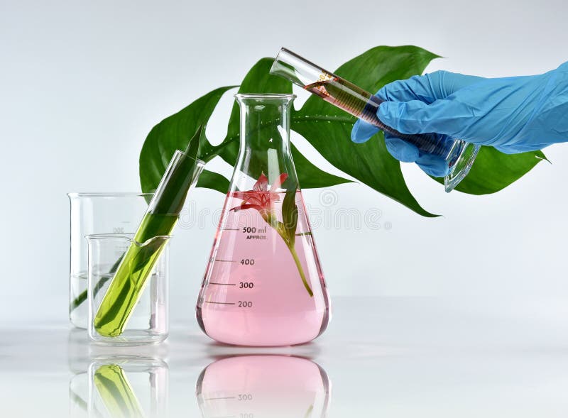 Investigador que mezcla la extracción natural orgánica, cosméticos del skincare del farmacéutico que formulan de la esencia de la fotos de archivo libres de regalías Investigador que mezcla la extracción natural orgánica, cosméticos del skincare del farmacéutico que formulan de la esencia de la fotos de archivo libres de regalías