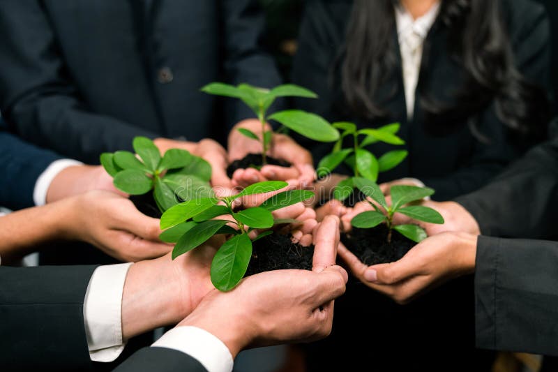 Eco-friendly investment on reforestation by group of business people holding plant together in office promoting CO2 reduction and natural preservation to save Earth with sustainable future. Quaint. Eco-friendly investment on reforestation by group of business people holding plant together in office promoting CO2 reduction and natural preservation to save Earth with sustainable future. Quaint