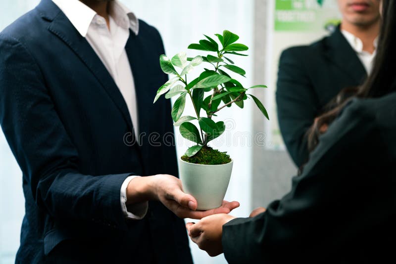 Eco-friendly investment on reforestation by group of business people holding plant together in office promoting CO2 reduction and natural preservation to save Earth with sustainable future. Quaint. Eco-friendly investment on reforestation by group of business people holding plant together in office promoting CO2 reduction and natural preservation to save Earth with sustainable future. Quaint