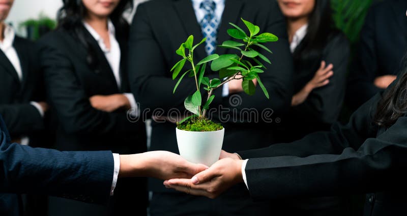 Eco-friendly investment on reforestation by group of business people holding plant together in office promoting CO2 reduction and natural preservation to save Earth with sustainable future. Quaint. Eco-friendly investment on reforestation by group of business people holding plant together in office promoting CO2 reduction and natural preservation to save Earth with sustainable future. Quaint