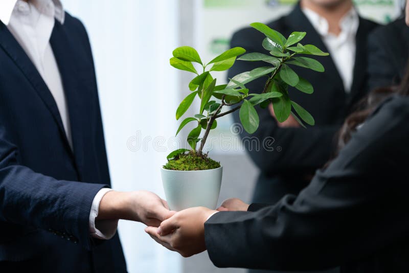 Eco-friendly investment on reforestation by group of business people holding plant together in office promoting CO2 reduction and natural preservation to save Earth with sustainable future. Quaint. Eco-friendly investment on reforestation by group of business people holding plant together in office promoting CO2 reduction and natural preservation to save Earth with sustainable future. Quaint