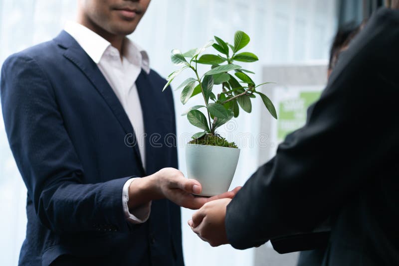 Eco-friendly investment on reforestation by group of business people holding plant together in office promoting CO2 reduction and natural preservation to save Earth with sustainable future. Quaint. Eco-friendly investment on reforestation by group of business people holding plant together in office promoting CO2 reduction and natural preservation to save Earth with sustainable future. Quaint